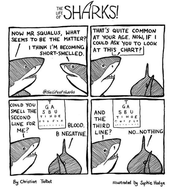 20 Witty Comics Depicting Dark Conversations Among Sharks By The Life ...