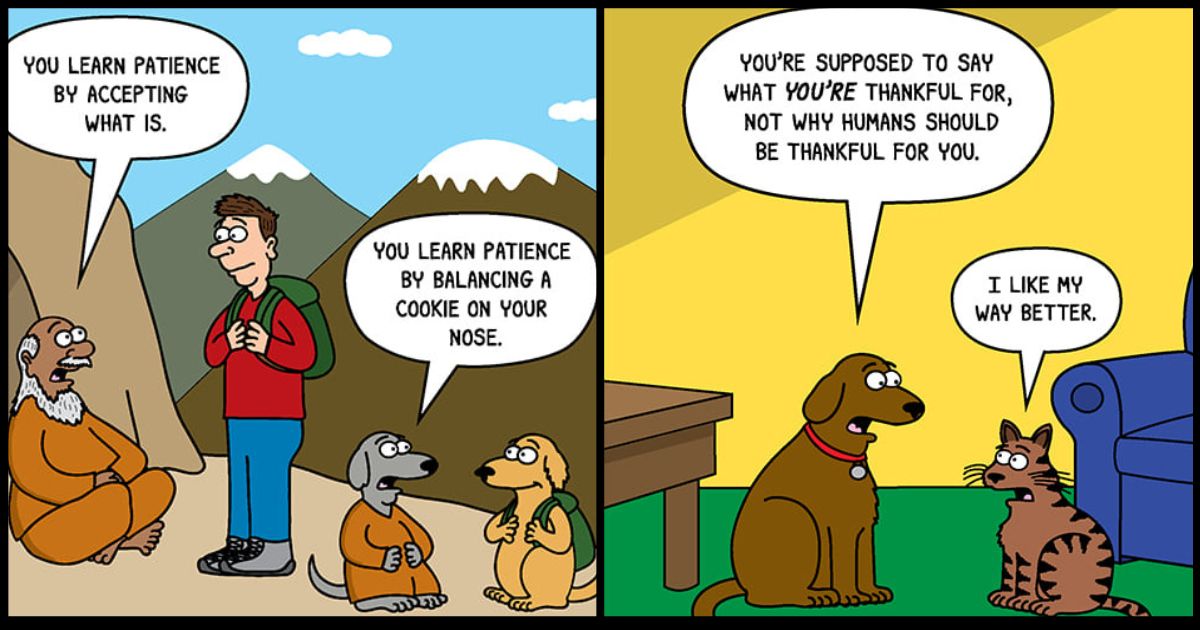 20 Comics By Scott Metzger Only Cat And Dog Owners Might Truly ...