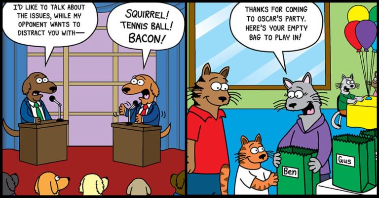 20 Comics by Scott Metzger That Only Cat and Dog Owners Can Truly ...