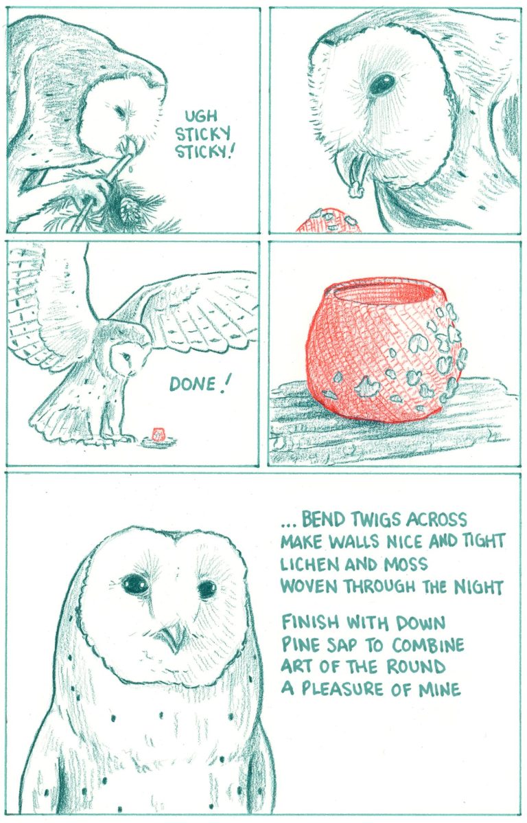 20 Hand Drawn Falseknees Comics Illustrates The Story Of Birds | Comics ...