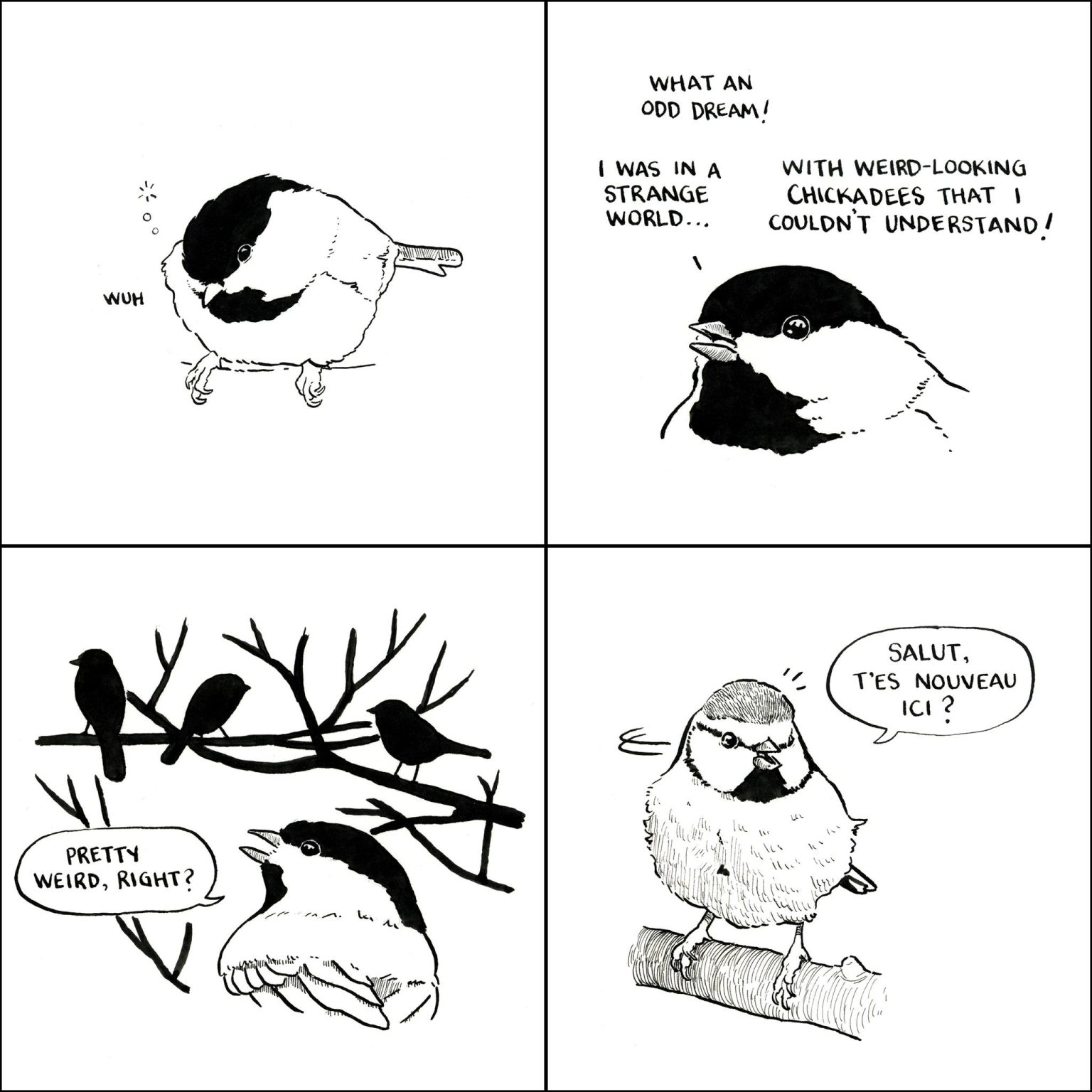 20 Hand Drawn Falseknees Comics Illustrates The Story Of Birds | Comics ...